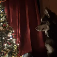 processed/cd165d07-413c-458d-b66e-4ad78d16cfea/facility/0523c142-47ee-43f1-b5b4-ed958a167541