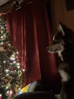 processed/cd165d07-413c-458d-b66e-4ad78d16cfea/facility/0523c142-47ee-43f1-b5b4-ed958a167541