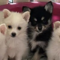 processed/cd165d07-413c-458d-b66e-4ad78d16cfea/facility/3a920f98-d5a8-4dfe-9016-041d54783c33