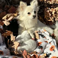 processed/cd165d07-413c-458d-b66e-4ad78d16cfea/facility/9e500a62-2782-4b5a-9066-a3d63b4a911a