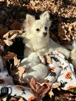 processed/cd165d07-413c-458d-b66e-4ad78d16cfea/facility/9e500a62-2782-4b5a-9066-a3d63b4a911a