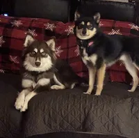 processed/cd165d07-413c-458d-b66e-4ad78d16cfea/facility/a64f72ff-86a4-41cc-b833-84f85f68b767