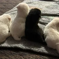 processed/cd165d07-413c-458d-b66e-4ad78d16cfea/facility/ab2b7331-b78e-46b7-92c2-cd9f9dacadcd