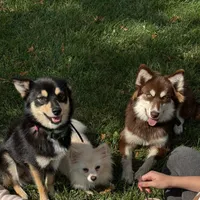 processed/cd165d07-413c-458d-b66e-4ad78d16cfea/facility/ee5158ad-f3e8-407e-983f-f01ff85ab2fe