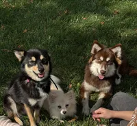 processed/cd165d07-413c-458d-b66e-4ad78d16cfea/facility/ee5158ad-f3e8-407e-983f-f01ff85ab2fe