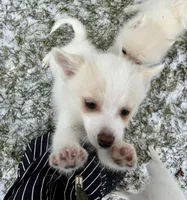 processed/cd165d07-413c-458d-b66e-4ad78d16cfea/listing/2d94bc58-de26-4576-aad1-db4e41b497ff/380397ab-f8af-40d4-afff-caf2c43214ed