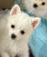 processed/cd165d07-413c-458d-b66e-4ad78d16cfea/listing/2d94bc58-de26-4576-aad1-db4e41b497ff/8d7b8cad-4101-4378-a728-92ed789b031a