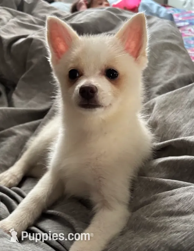 processed/cd165d07-413c-458d-b66e-4ad78d16cfea/listing/2d94bc58-de26-4576-aad1-db4e41b497ff/daa980bd-c137-4c3e-9f0e-893eea7538dd