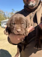 processed/cd1f1935-1fca-4b74-a4b5-1fa3540a53fa/listing/30dcec15-9527-4d7b-b1f8-c815dadd47e6/8f1cdb5e-a0b4-4e01-bc60-c157f908409f