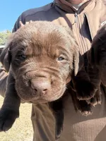 processed/cd1f1935-1fca-4b74-a4b5-1fa3540a53fa/listing/30dcec15-9527-4d7b-b1f8-c815dadd47e6/d55a7ef6-4d65-456b-9135-c50a35b27caf