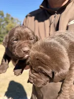 processed/cd1f1935-1fca-4b74-a4b5-1fa3540a53fa/listing/30dcec15-9527-4d7b-b1f8-c815dadd47e6/dd03a0db-7338-4792-8ff4-f8aadf4860b1