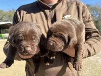 processed/cd1f1935-1fca-4b74-a4b5-1fa3540a53fa/listing/30dcec15-9527-4d7b-b1f8-c815dadd47e6/e63bed99-ec30-46c9-a071-494feaf4efe4