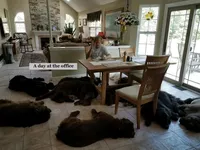 processed/cd28fc79-a512-450a-884b-b03a072ddf4f/facility/22a7ea6e-3bc1-4771-bec4-ee00ce321107