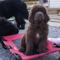 processed/cd28fc79-a512-450a-884b-b03a072ddf4f/facility/401b22f5-9d79-4065-8df9-066f27b9f285