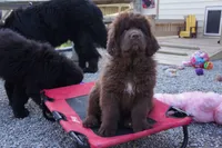 processed/cd28fc79-a512-450a-884b-b03a072ddf4f/facility/401b22f5-9d79-4065-8df9-066f27b9f285