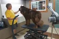 processed/cd28fc79-a512-450a-884b-b03a072ddf4f/facility/4cbc99e3-60e6-476d-88b7-f4322a7afc67