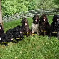 processed/cd28fc79-a512-450a-884b-b03a072ddf4f/facility/e8553582-6e8a-4849-93cf-71718cf65117