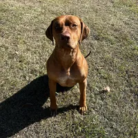 processed/cd2adf8f-8afc-415b-8cb1-44d13fb2a775/facility/0c5a82ea-3a7f-49dc-aece-48ccfdd630c0