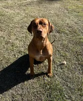 processed/cd2adf8f-8afc-415b-8cb1-44d13fb2a775/facility/0c5a82ea-3a7f-49dc-aece-48ccfdd630c0