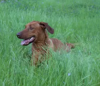 processed/cd2adf8f-8afc-415b-8cb1-44d13fb2a775/facility/2cf79069-c47d-4f82-99f9-e327583e6a7f