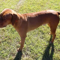 processed/cd2adf8f-8afc-415b-8cb1-44d13fb2a775/facility/4e3e28db-bfb2-4a4a-ad25-e328014d218f