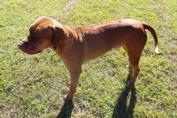 processed/cd2adf8f-8afc-415b-8cb1-44d13fb2a775/facility/4e3e28db-bfb2-4a4a-ad25-e328014d218f