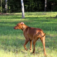 processed/cd2adf8f-8afc-415b-8cb1-44d13fb2a775/facility/7ff6bed6-9a4a-4810-a084-0ee8bddfee8a