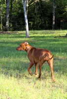 processed/cd2adf8f-8afc-415b-8cb1-44d13fb2a775/facility/7ff6bed6-9a4a-4810-a084-0ee8bddfee8a