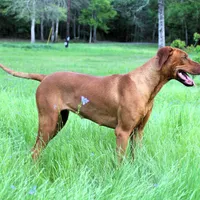 processed/cd2adf8f-8afc-415b-8cb1-44d13fb2a775/facility/8950a2a3-e122-4a29-b1d9-210903c1a90f