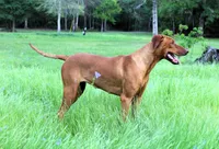 processed/cd2adf8f-8afc-415b-8cb1-44d13fb2a775/facility/8950a2a3-e122-4a29-b1d9-210903c1a90f