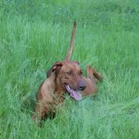 processed/cd2adf8f-8afc-415b-8cb1-44d13fb2a775/facility/a032a6c5-a748-4bd1-8dc2-504efb6d63b3