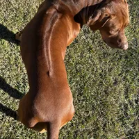 processed/cd2adf8f-8afc-415b-8cb1-44d13fb2a775/facility/a9d28254-4d39-4dcc-9b9c-6587db28e9a5