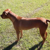 processed/cd2adf8f-8afc-415b-8cb1-44d13fb2a775/facility/cec0b305-d39e-4c95-bc9e-bfdf25c1f1fc