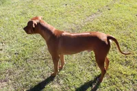 processed/cd2adf8f-8afc-415b-8cb1-44d13fb2a775/facility/cec0b305-d39e-4c95-bc9e-bfdf25c1f1fc