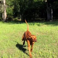 processed/cd2adf8f-8afc-415b-8cb1-44d13fb2a775/facility/f05727e8-1b6f-4d04-b09e-46159dac1a68