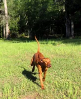 processed/cd2adf8f-8afc-415b-8cb1-44d13fb2a775/facility/f05727e8-1b6f-4d04-b09e-46159dac1a68