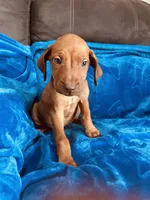 processed/cd2adf8f-8afc-415b-8cb1-44d13fb2a775/listing/a0bc8a88-7182-478c-ba9e-3be9107d4cfa/086597e7-df4c-4435-aed9-ddc80a2eeafd