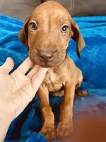 processed/cd2adf8f-8afc-415b-8cb1-44d13fb2a775/listing/a0bc8a88-7182-478c-ba9e-3be9107d4cfa/4c388518-4d4a-45cb-8316-925dd9799899