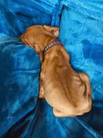 processed/cd2adf8f-8afc-415b-8cb1-44d13fb2a775/listing/a0bc8a88-7182-478c-ba9e-3be9107d4cfa/6828edd6-be38-4111-9f96-3b05ccc13480