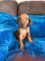 processed/cd2adf8f-8afc-415b-8cb1-44d13fb2a775/listing/a0bc8a88-7182-478c-ba9e-3be9107d4cfa/6f2cc91b-a700-435c-a8d0-502d0a5db8d9