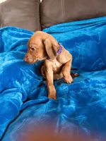 processed/cd2adf8f-8afc-415b-8cb1-44d13fb2a775/listing/a0bc8a88-7182-478c-ba9e-3be9107d4cfa/7ded05c7-7a35-4d00-b256-d6f07e42f5d7