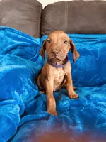 processed/cd2adf8f-8afc-415b-8cb1-44d13fb2a775/listing/a0bc8a88-7182-478c-ba9e-3be9107d4cfa/8c1ec7c2-5470-4859-9b9b-1f8449d15486