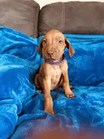 processed/cd2adf8f-8afc-415b-8cb1-44d13fb2a775/listing/a0bc8a88-7182-478c-ba9e-3be9107d4cfa/908823af-19de-4ea9-bc76-d7ccb3c00d7e