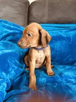 processed/cd2adf8f-8afc-415b-8cb1-44d13fb2a775/listing/a0bc8a88-7182-478c-ba9e-3be9107d4cfa/bc53d117-d6f5-439b-8287-95d7aa505cc0