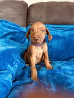 processed/cd2adf8f-8afc-415b-8cb1-44d13fb2a775/listing/a0bc8a88-7182-478c-ba9e-3be9107d4cfa/beadf460-0a7e-4168-bd86-c4d3f49ca2b8