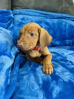 processed/cd2adf8f-8afc-415b-8cb1-44d13fb2a775/listing/d368296e-f47d-4d8b-aa24-a0326d98759a/1d19483f-f6a8-4ace-aeb9-a8d2f4518eb7