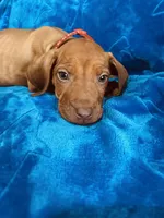 processed/cd2adf8f-8afc-415b-8cb1-44d13fb2a775/listing/d368296e-f47d-4d8b-aa24-a0326d98759a/24566945-d4c3-4639-bb11-050e81f94e57