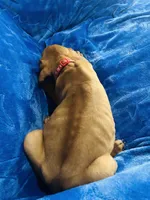 processed/cd2adf8f-8afc-415b-8cb1-44d13fb2a775/listing/d368296e-f47d-4d8b-aa24-a0326d98759a/58ecc08f-dc32-4eee-94bb-7556a873e516