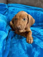 processed/cd2adf8f-8afc-415b-8cb1-44d13fb2a775/listing/d368296e-f47d-4d8b-aa24-a0326d98759a/5e5281b7-415e-4dbe-84f5-08882f5d0433