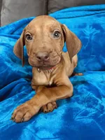 processed/cd2adf8f-8afc-415b-8cb1-44d13fb2a775/listing/d368296e-f47d-4d8b-aa24-a0326d98759a/94f10adb-c62c-4f79-8f4f-07668a494de5